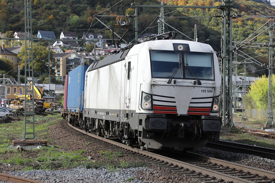 ELL 193 599
