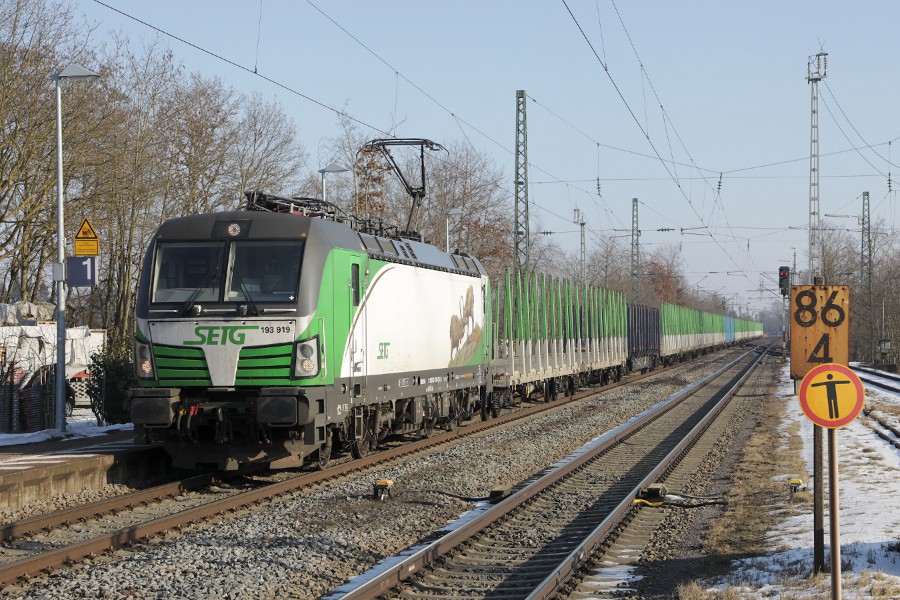 ELL 193 919