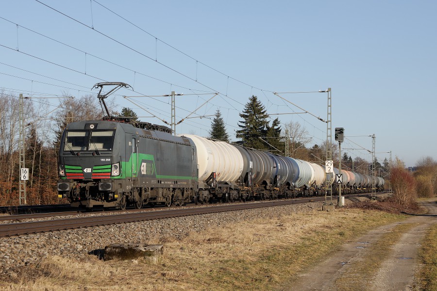 ELL 193 259